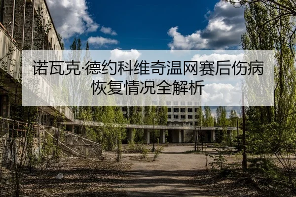 诺瓦克·德约科维奇温网赛后伤病恢复情况全解析（HTH）